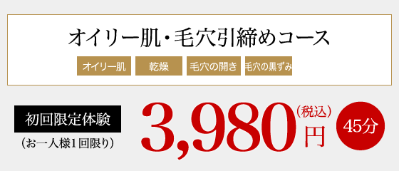 オイリー肌・毛穴引締めコース