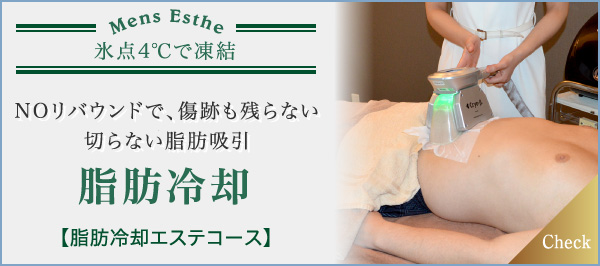NOリバウンドで、傷跡も残らない切らない脂肪吸引 脂肪冷却