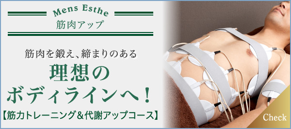 筋肉を鍛え、締まりのある理想のボディラインへ! 筋力トレーニング＆代謝アップコース