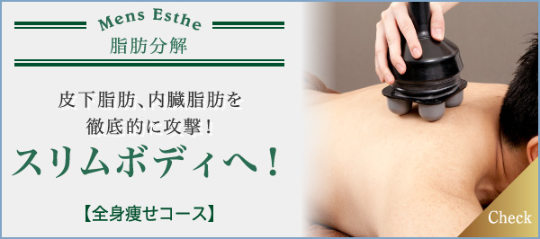 皮下脂肪、内臓脂肪を徹底的に攻撃!スリムボディへ! 全身痩せコース