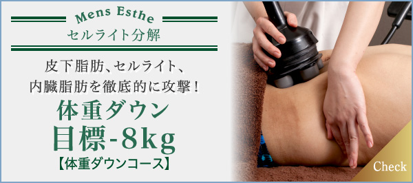 皮下脂肪、セルライト、内臓脂肪を徹底的に攻撃!体重ダウン 目標-8kg 体重ダウンコース