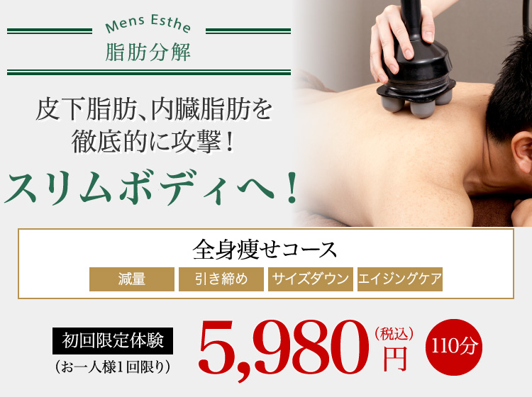 皮下脂肪、内臓脂肪を徹底的に攻撃!スリムボディへ! 全身痩せコース